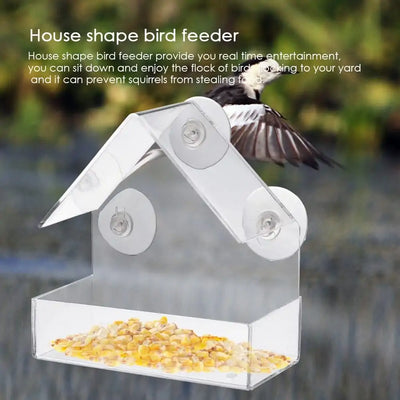 Suction Cup Acrylic Bird Feeder