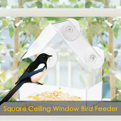 Suction Cup Acrylic Bird Feeder